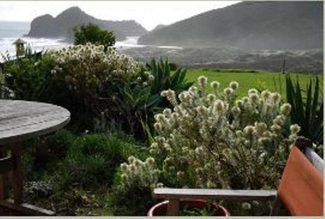Bethells Beach Cottages Εξωτερικό φωτογραφία