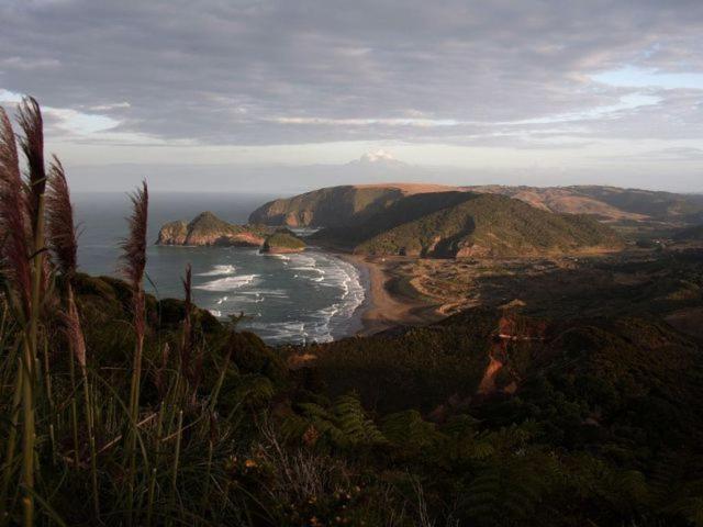 Bethells Beach Cottages Εξωτερικό φωτογραφία