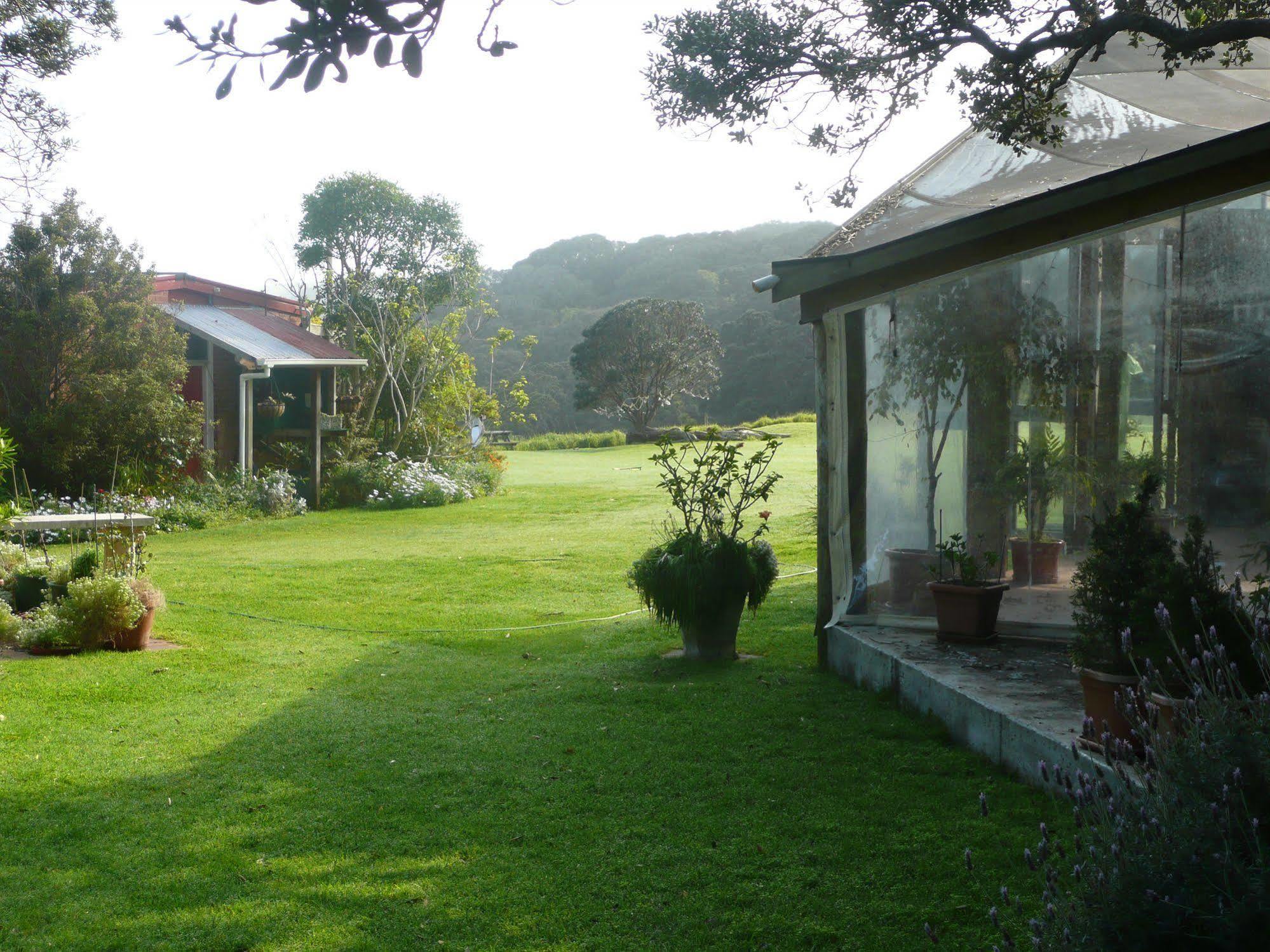 Bethells Beach Cottages Εξωτερικό φωτογραφία