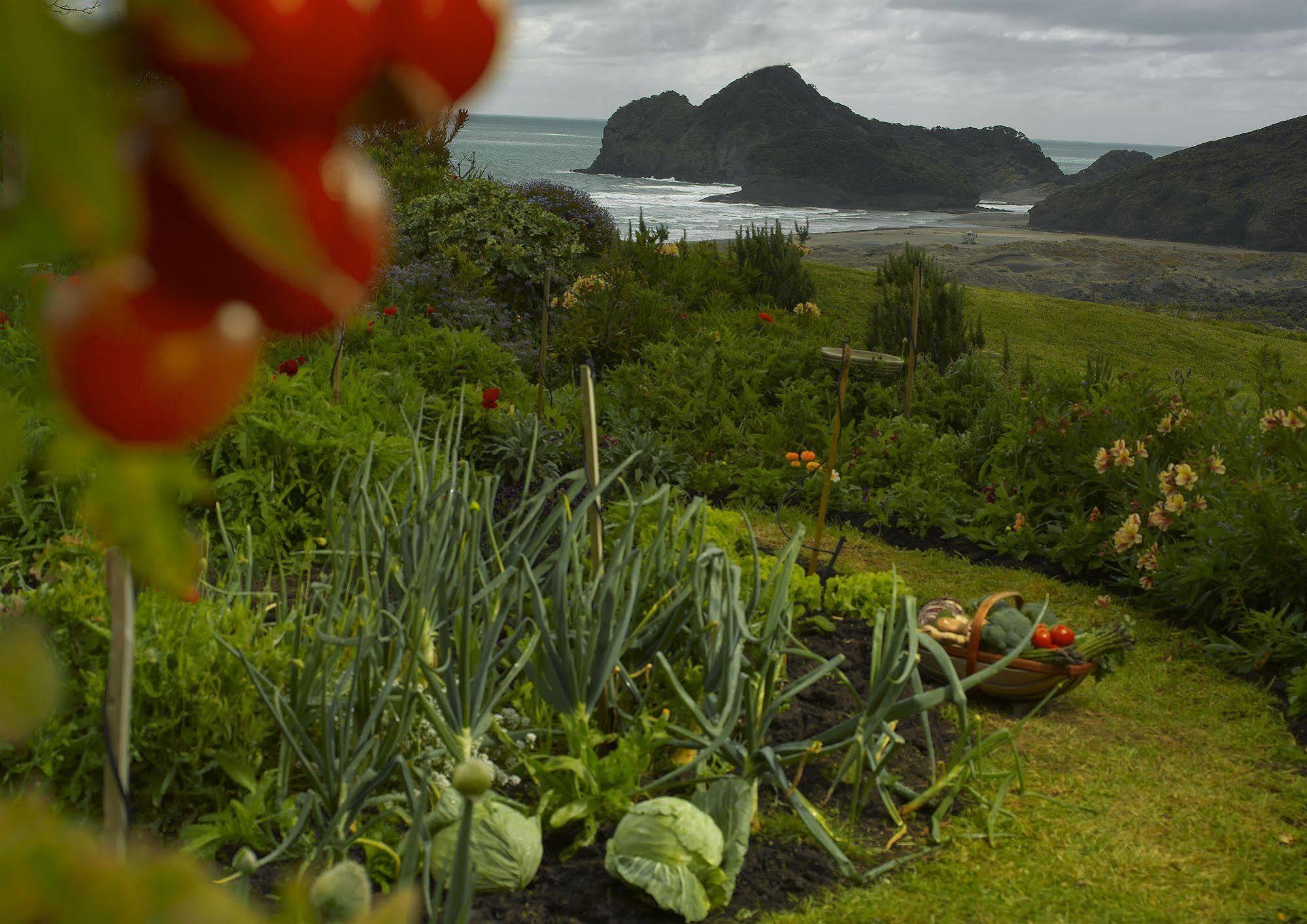 Bethells Beach Cottages Εξωτερικό φωτογραφία